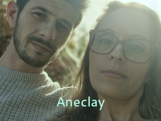 Aneclay