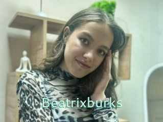 Beatrixburks