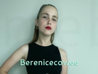 Berenicecowee