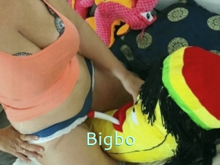 Bigbo