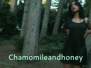 Chamomileandhoney