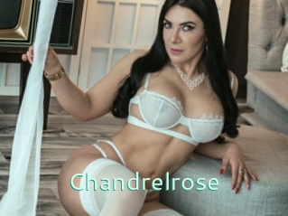 Chandrelrose