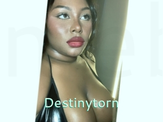 Destinytorn