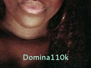 Domina110k