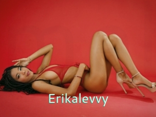 Erikalevvy