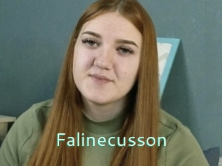 Falinecusson