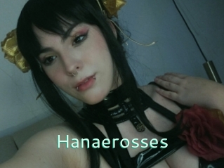 Hanaerosses