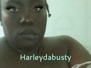 Harleydabusty