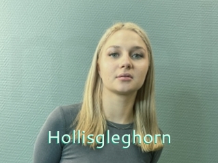 Hollisgleghorn