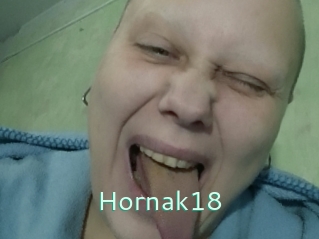 Hornak18