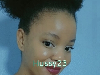 Hussy23