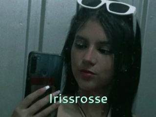 Irissrosse