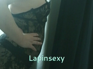 Lapinsexy