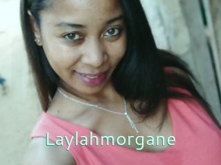 Laylahmorgane