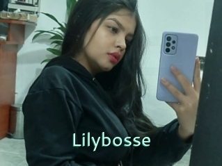 Lilybosse