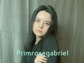 Primrosegabriel