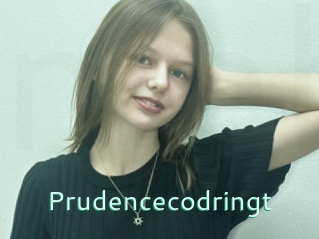 Prudencecodringt