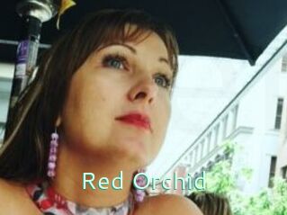 Red_Orchid