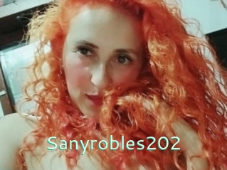 Sanyrobles202