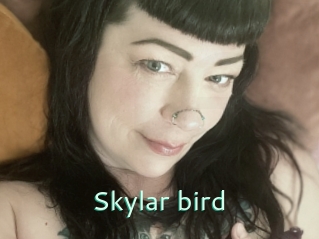 Skylar_bird