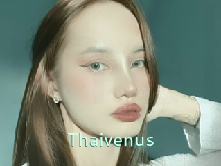 Thaivenus