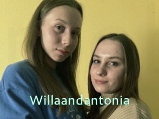 Willaandantonia