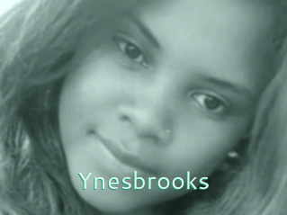 Ynesbrooks